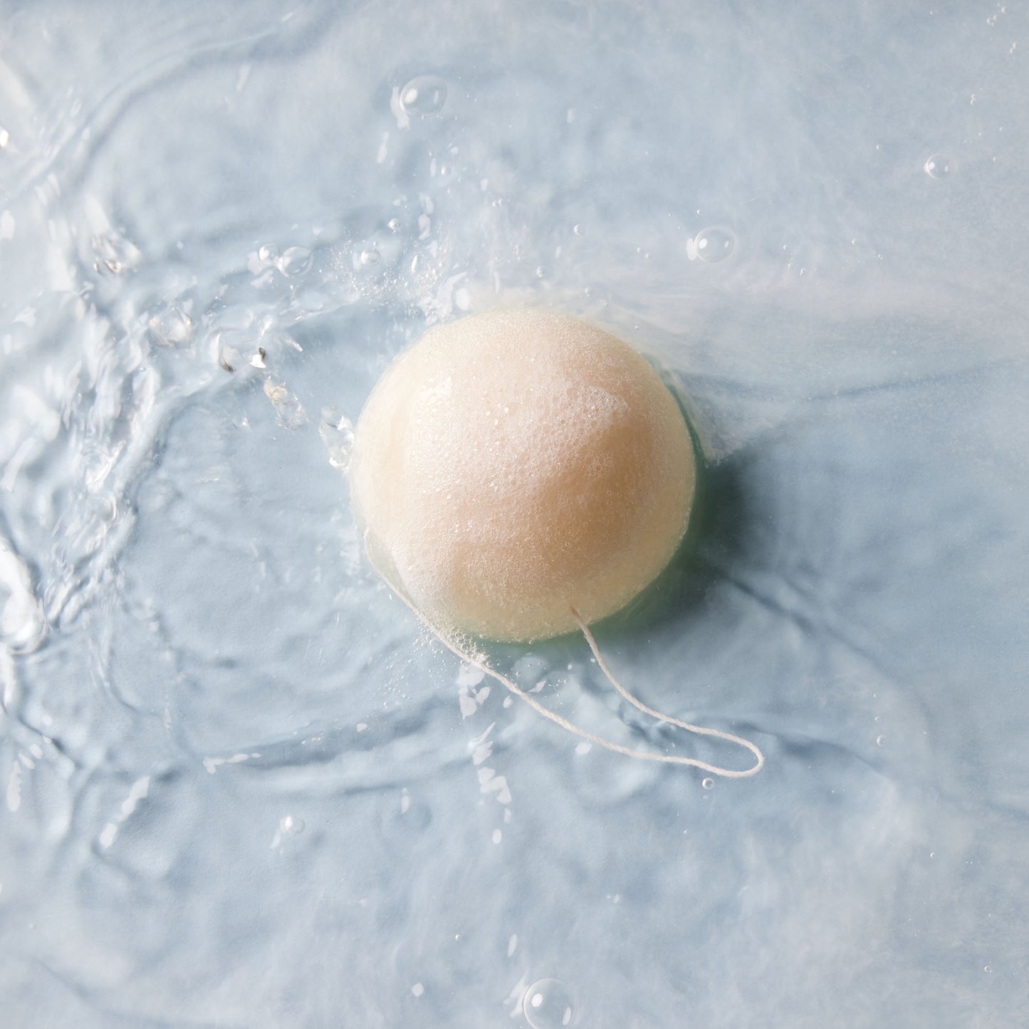 L'Éponge Konjac
