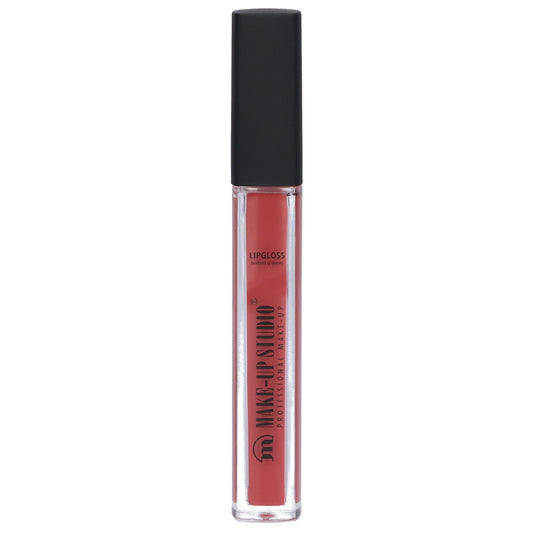 Paint Gloss Lipgloss